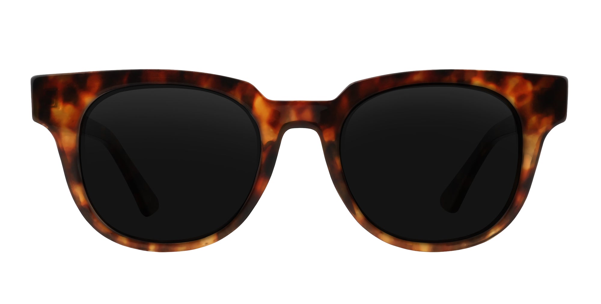 Gryphon tortoiseshell round polarized sunglasses from Neven Eyewear.