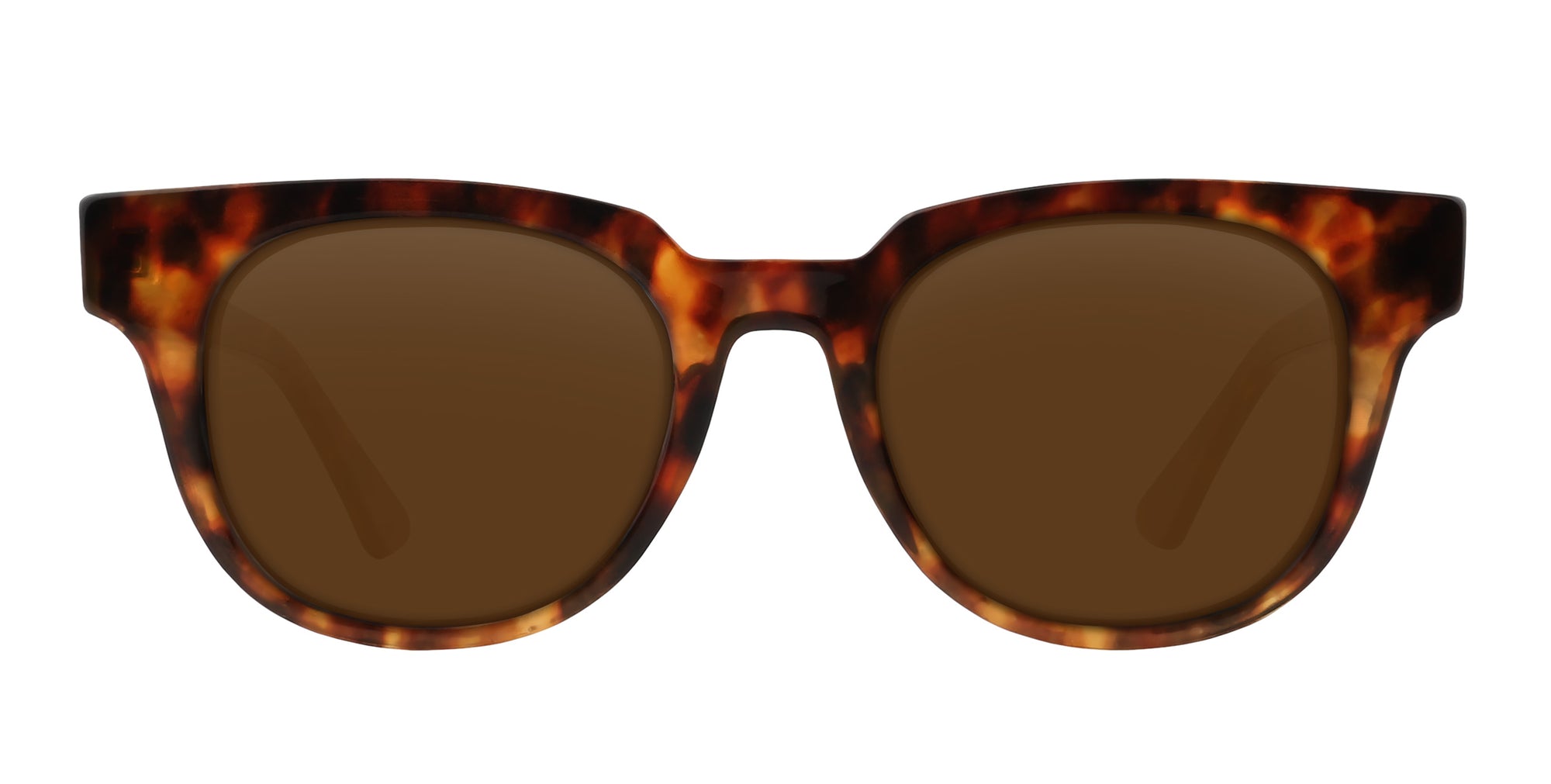 Gryphon tortoiseshell round polarized sunglasses from Neven Eyewear.