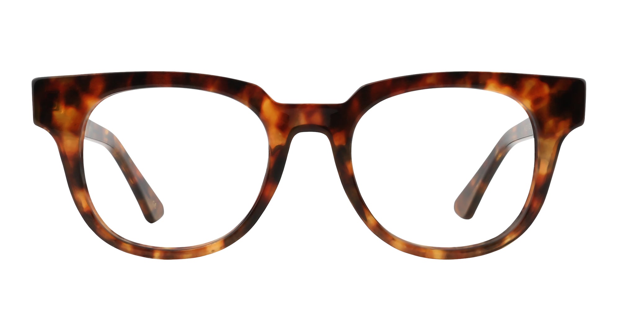 Gryphon tortoiseshell round polarized sunglasses from Neven Eyewear.