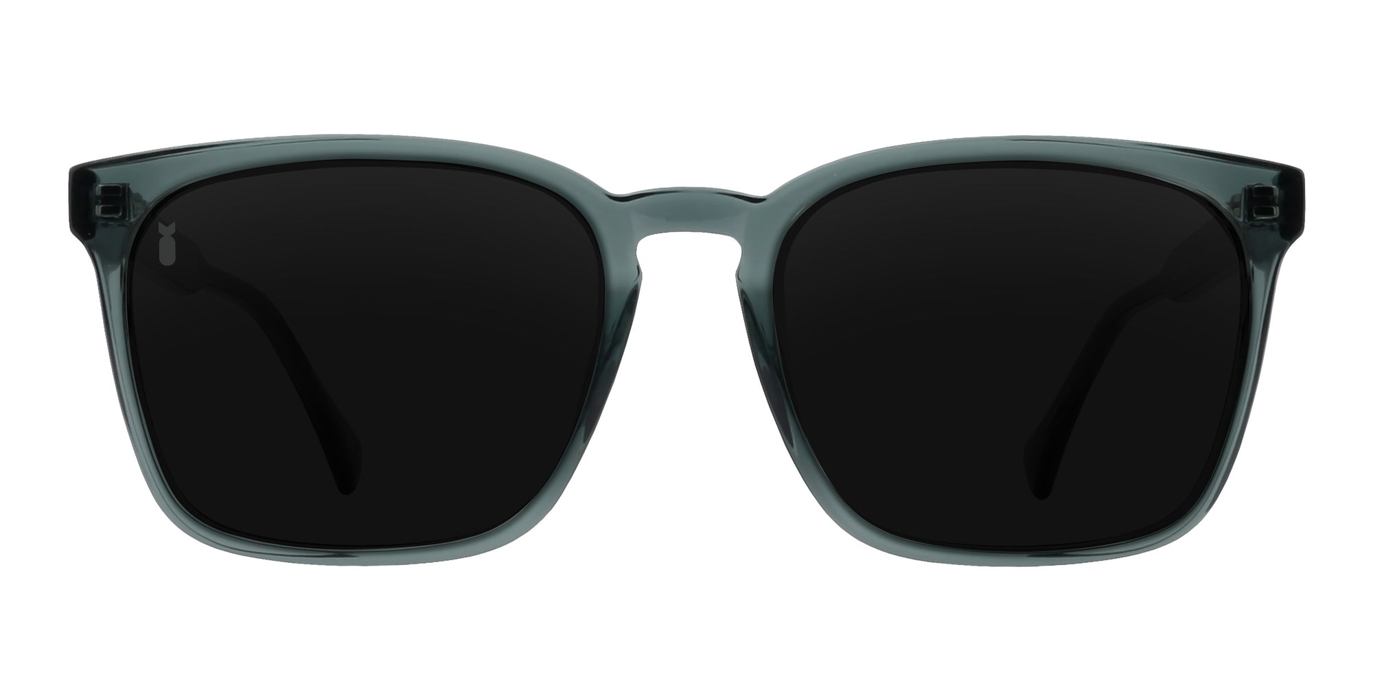 Front view of Lenny polarized sunglasses in transparent gray with black lenses.