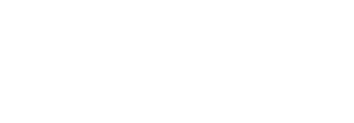 Logo of MSN