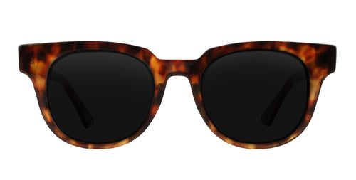 Gryphon tortoiseshell round polarized sunglasses from Neven Eyewear.