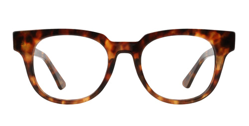 Gryphon tortoiseshell round polarized sunglasses from Neven Eyewear.