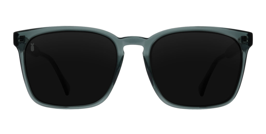 Front view of Lenny polarized sunglasses in transparent gray with black lenses.
