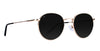 Rae Gold Aviator polarized sunglasses with dark lenses.