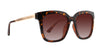 Sarasota sunglasses with tortoiseshell frame and gradient lenses.