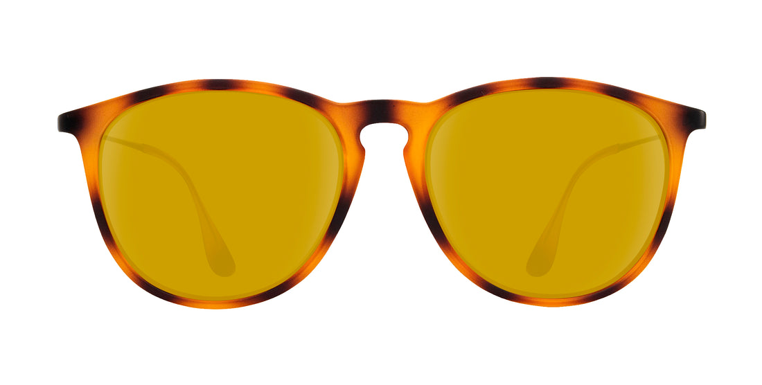 Front close-up of Bowie sunglasses showcasing tortoise frame and amber prescription lenses on white background