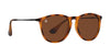 Bowie Tortoiseshell Rectangular polarized sunglasses with brown lenses.
